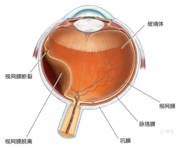 微信图片_20201106153838.png